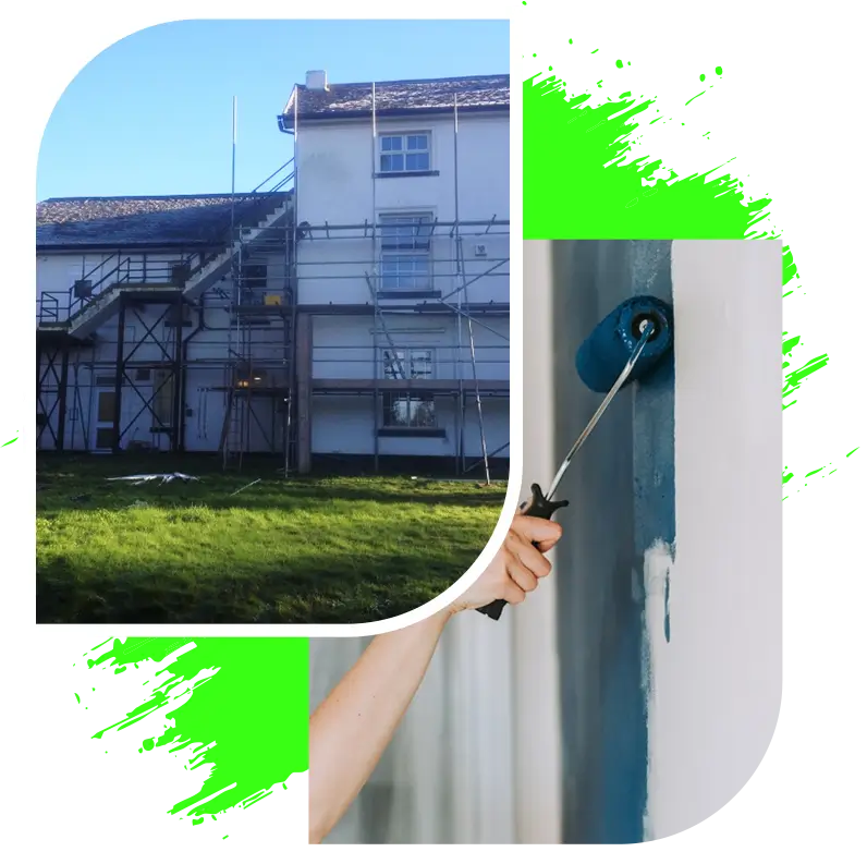 Expert Painting